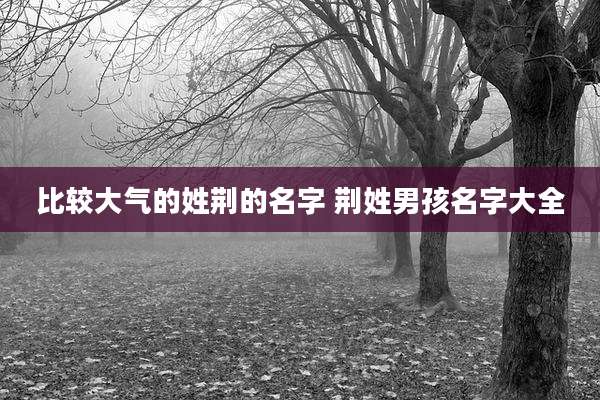 比较大气的姓荆的名字 荆姓男孩名字大全
