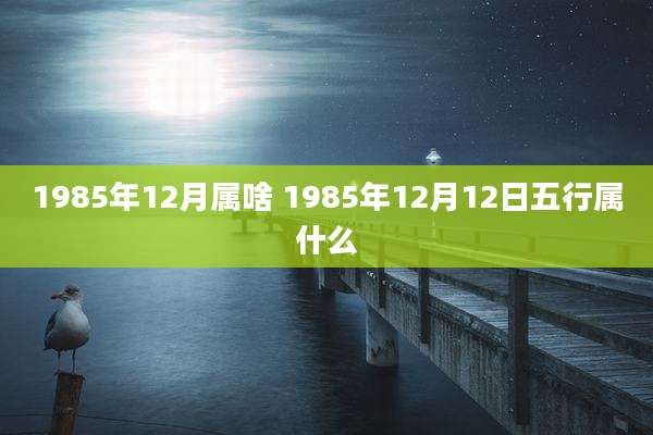 1985年12月属啥 1985年12月12日五行属什么