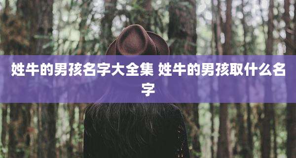 姓牛的男孩名字大全集 姓牛的男孩取什么名字