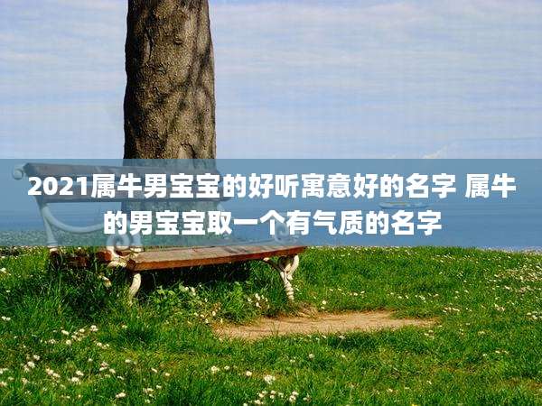 2021属牛男宝宝的好听寓意好的名字 属牛的男宝宝取一个有气质的名字