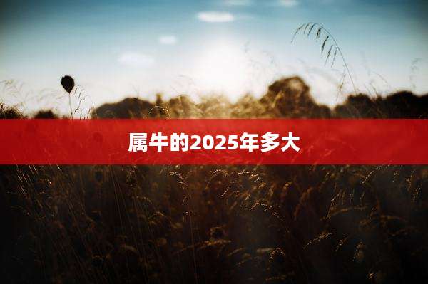 属牛的2025年多大