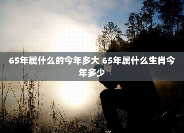65年属什么的今年多大 65年属什么生肖今年多少
