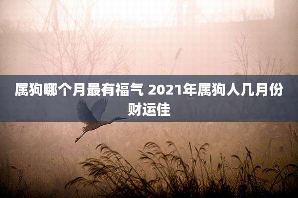 属狗哪个月最有福气 2021年属狗人几月份财运佳
