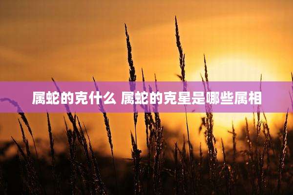 属蛇的克什么 属蛇的克星是哪些属相