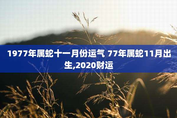 1977年属蛇十一月份运气 77年属蛇11月出生,2020财运
