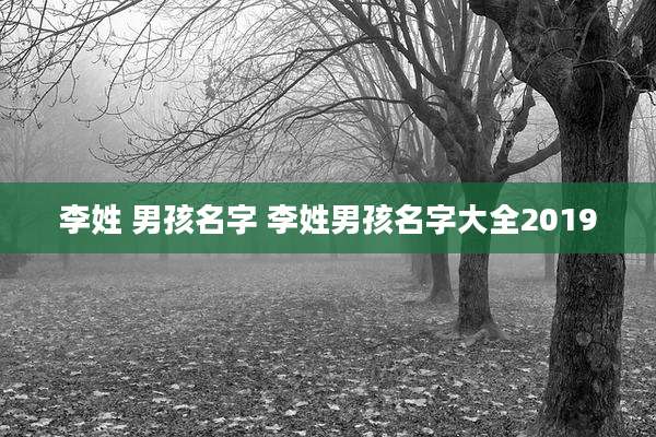 李姓 男孩名字 李姓男孩名字大全2019