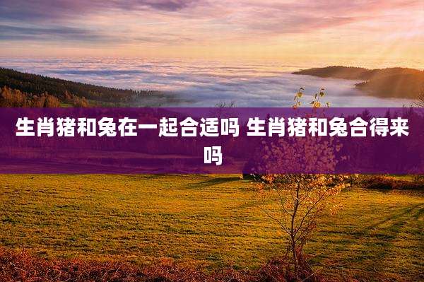 生肖猪和兔在一起合适吗 生肖猪和兔合得来吗