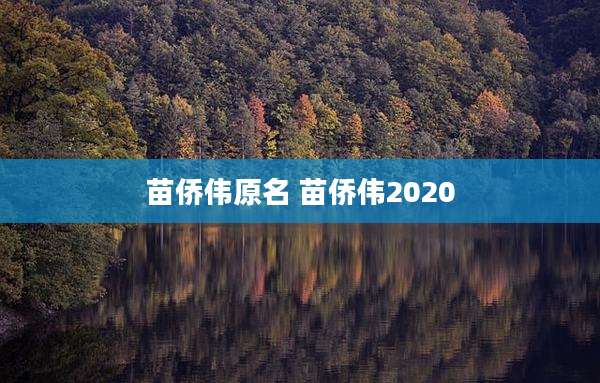 苗侨伟原名 苗侨伟2020