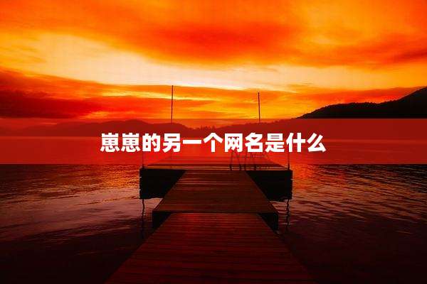 崽崽的另一个网名是什么