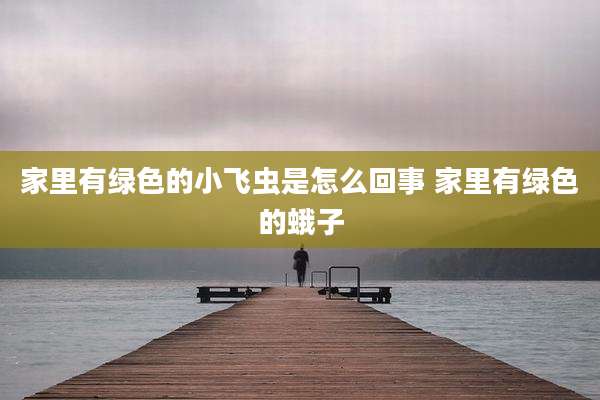 家里有绿色的小飞虫是怎么回事 家里有绿色的蛾子