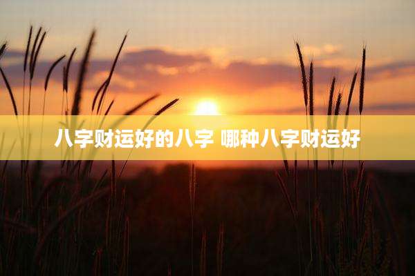 八字财运好的八字 哪种八字财运好