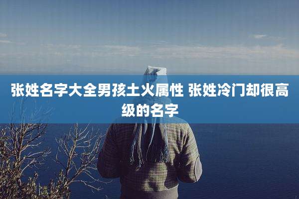 张姓名字大全男孩土火属性 张姓冷门却很高级的名字