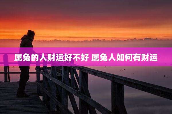属兔的人财运好不好 属兔人如何有财运
