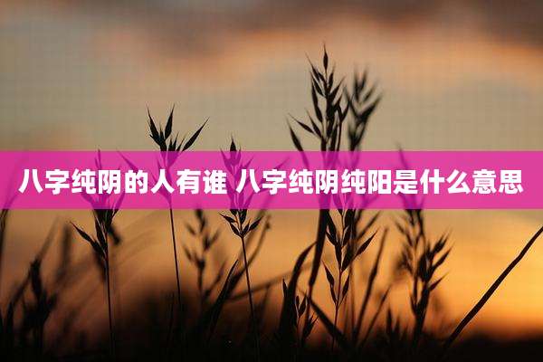 八字纯阴的人有谁 八字纯阴纯阳是什么意思