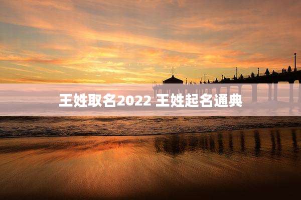 王姓取名2022 王姓起名通典