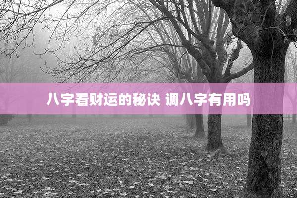 八字看财运的秘诀 调八字有用吗