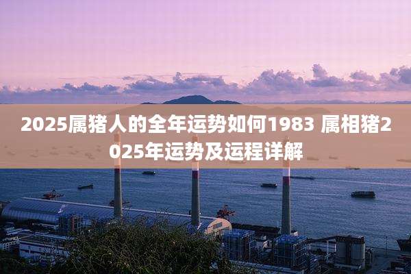 2025属猪人的全年运势如何1983 属相猪2025年运势及运程详解