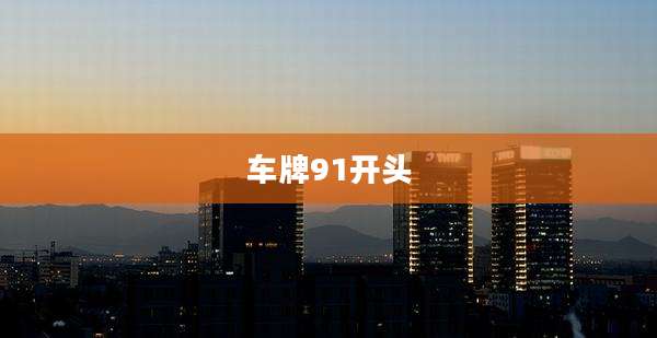 车牌91开头