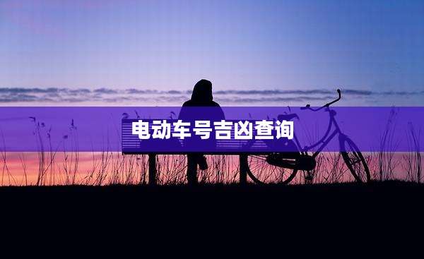 电动车号吉凶查询