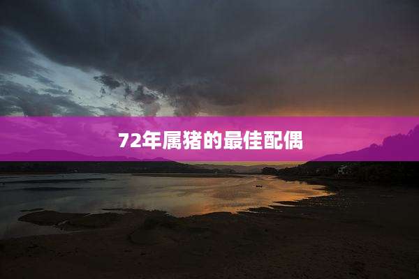 72年属猪的最佳配偶