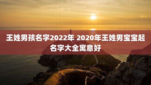 王姓男孩名字2022年 2020年王姓男宝宝起名字大全寓意好