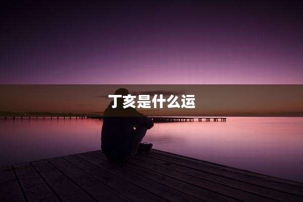 丁亥是什么运