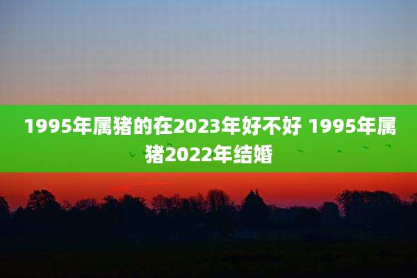 1995年属猪的在2023年好不好 1995年属猪2022年结婚