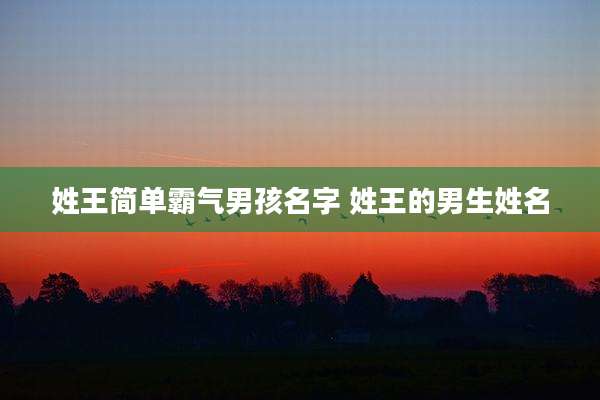 姓王简单霸气男孩名字 姓王的男生姓名