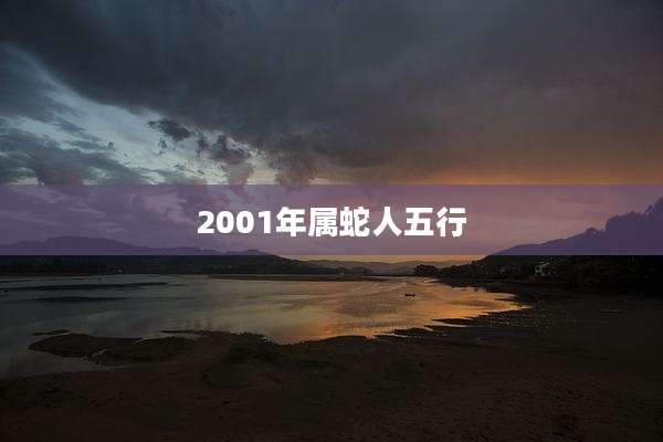 2001年属蛇人五行