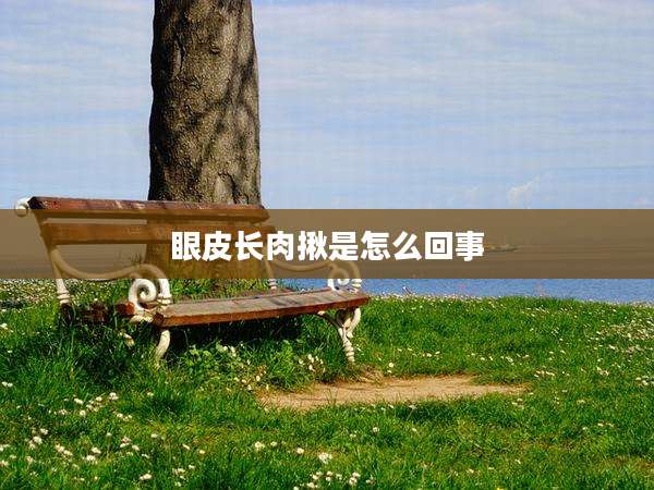 眼皮长肉揪是怎么回事
