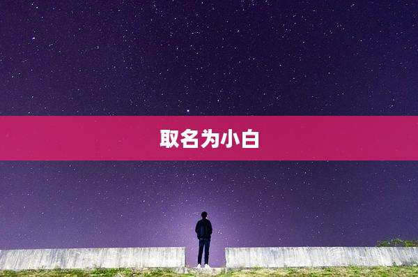 取名为小白