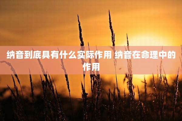 纳音到底具有什么实际作用 纳音在命理中的作用