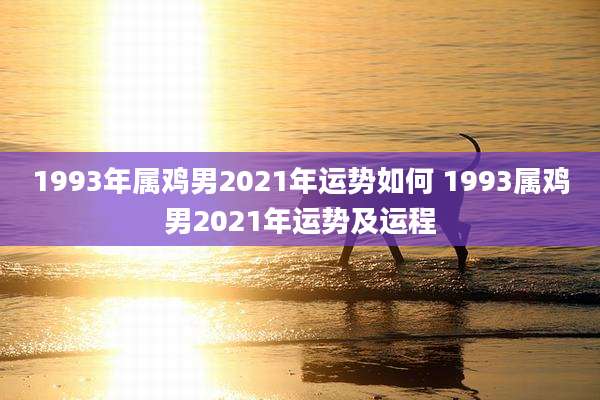 1993年属鸡男2021年运势如何 1993属鸡男2021年运势及运程
