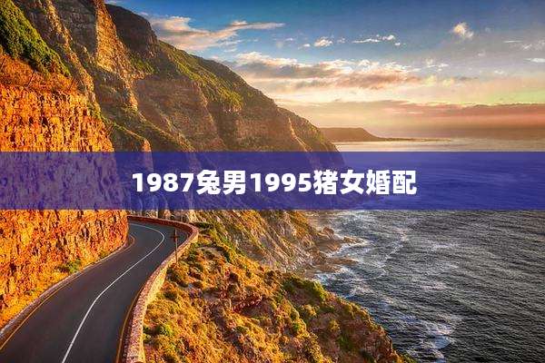 1987兔男1995猪女婚配