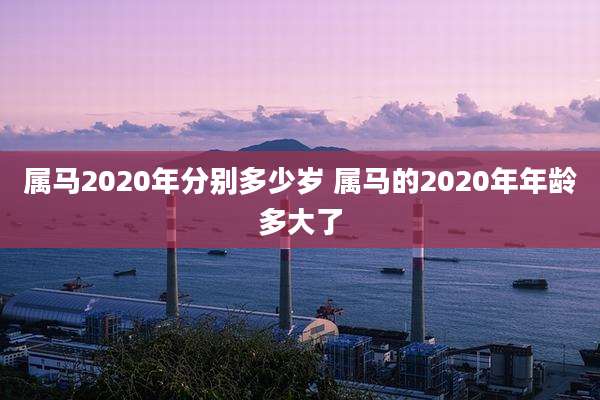属马2020年分别多少岁 属马的2020年年龄多大了