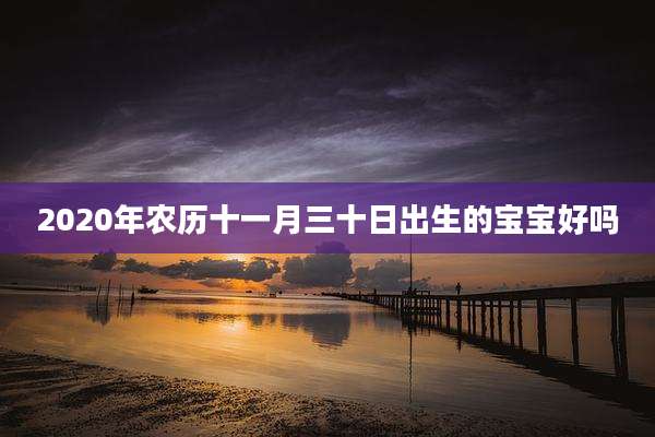 2020年农历十一月三十日出生的宝宝好吗