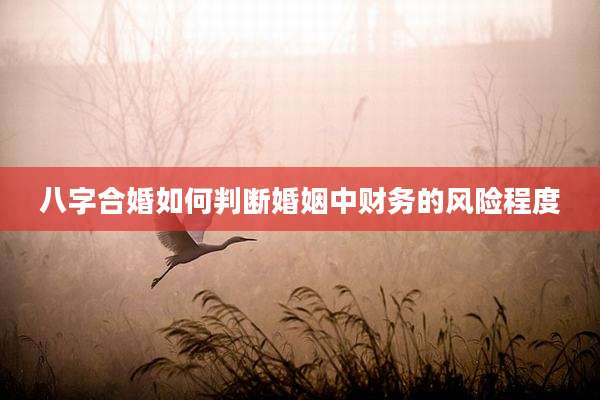 八字合婚如何判断婚姻中财务的风险程度