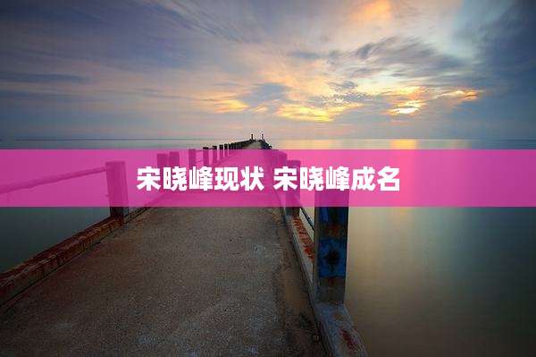 宋晓峰现状 宋晓峰成名