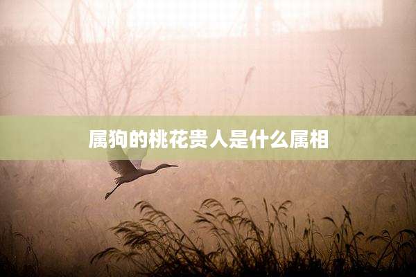 属狗的桃花贵人是什么属相