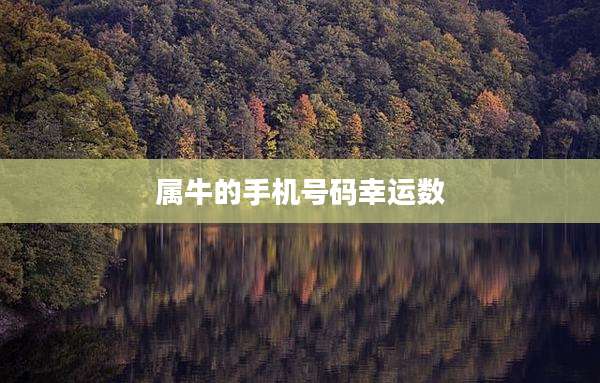 属牛的手机号码幸运数