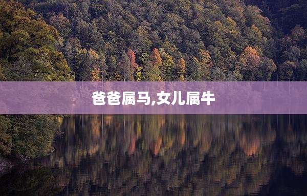 爸爸属马,女儿属牛