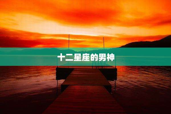 十二星座的男神