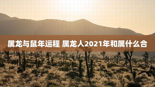 属龙与鼠年运程 属龙人2021年和属什么合