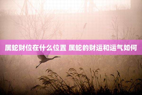 属蛇财位在什么位置 属蛇的财运和运气如何