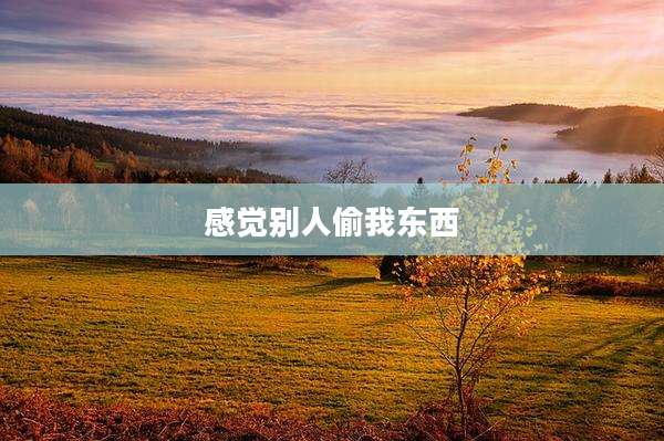 感觉别人偷我东西