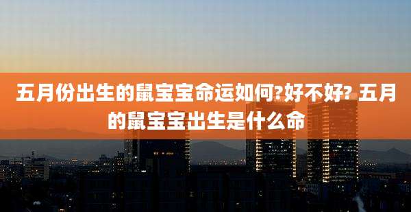 五月份出生的鼠宝宝命运如何?好不好? 五月的鼠宝宝出生是什么命