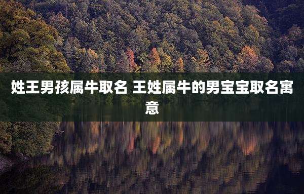 姓王男孩属牛取名 王姓属牛的男宝宝取名寓意