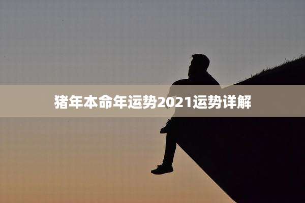猪年本命年运势2021运势详解
