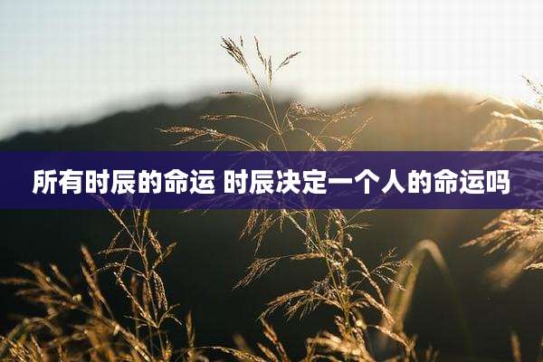 所有时辰的命运 时辰决定一个人的命运吗