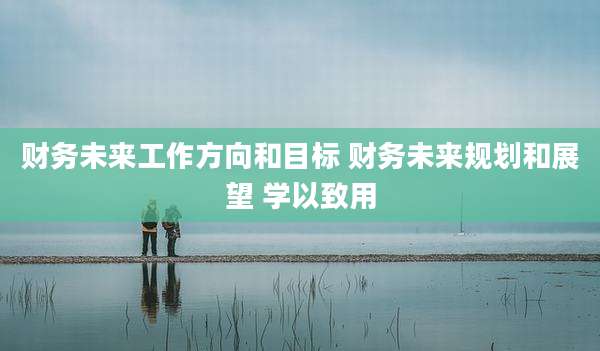 财务未来工作方向和目标 财务未来规划和展望 学以致用